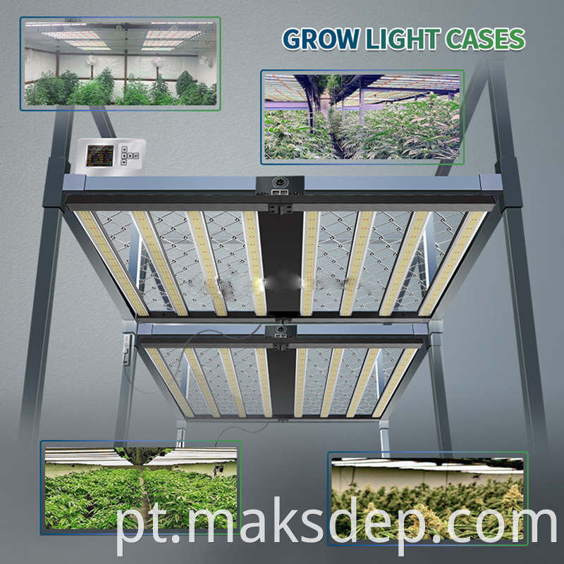 Plasma Grow Light